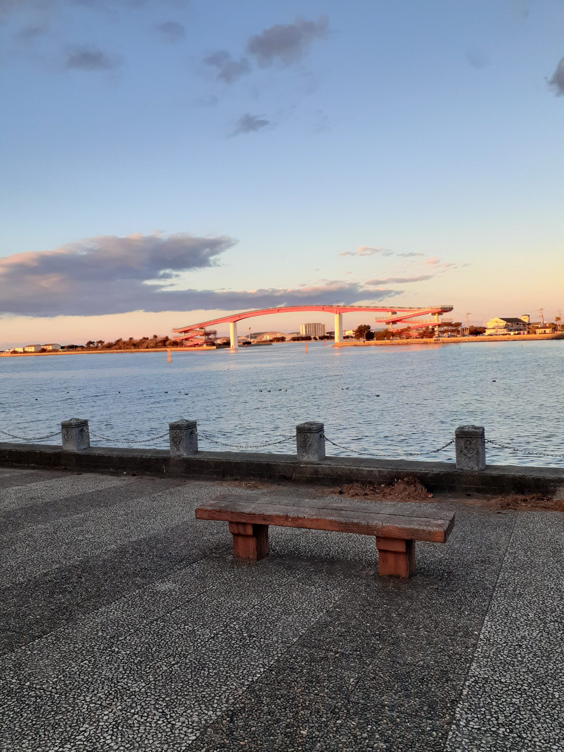 潮浜公園 ひまわり日和